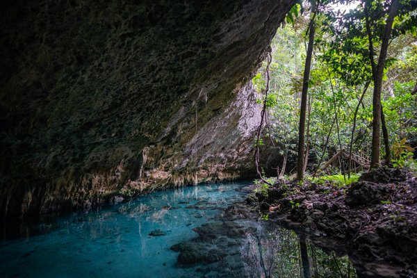 Borse: scopri oltre 10.000 modelli per ogni occasione